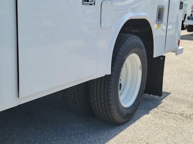 2025 Ford E-350SD Base Cutaway