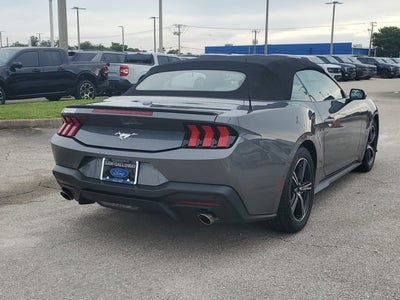 2024 Ford Mustang EcoBoost Premium