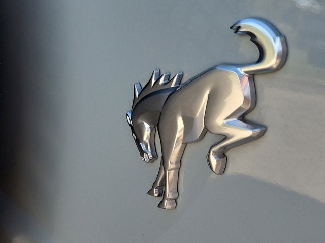 2024 Ford Bronco Everglades