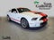 2014 Ford Mustang Shelby GT500