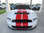 2014 Ford Mustang Shelby GT500