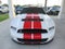 2014 Ford Mustang Shelby GT500