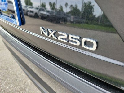 2024 Lexus NX 250 Base