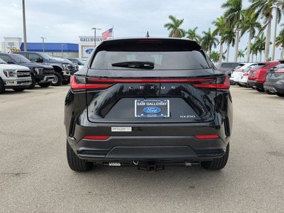 2024 Lexus NX 250 Base