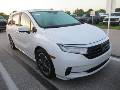 2024 Honda Odyssey Elite